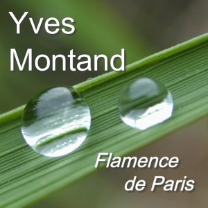 Flamence De Paris