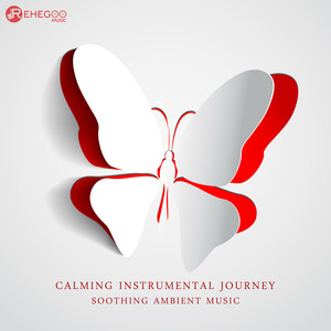 Calming Instrumental Journey - So