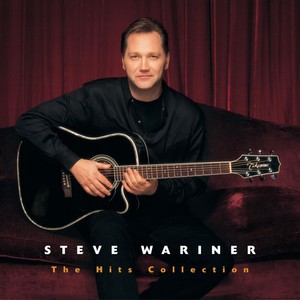 The Hits Collection: Steve Warine