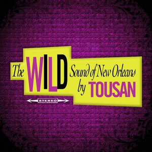 The Wild Sound Of New Orleans By 