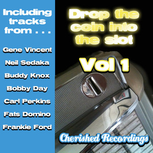 Drop The Coin Into The Slot Vol 1