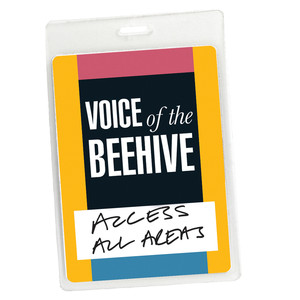 Access All Areas - Voice of the B