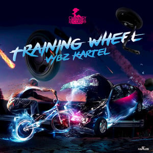 Training Wheel - Single