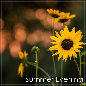 Handel: Summer Evening