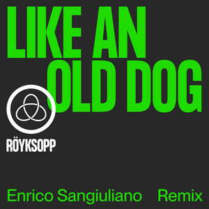 Like An Old Dog (Enrico Sangiulia