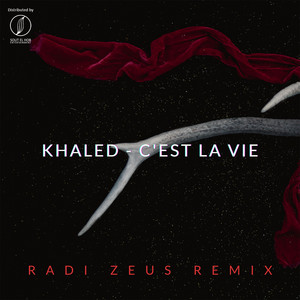 C'est la vie (Radi Zeus Remix)