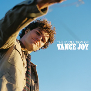 The Evolution of Vance Joy