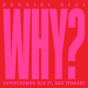 Why? (feat. Neil Tennant) [Superc