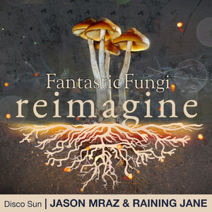 Disco Sun (Fantastic Fungi: Reima