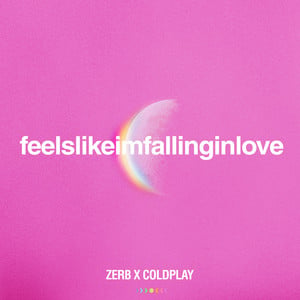 feelslikeimfallinginlove (Zerb x 