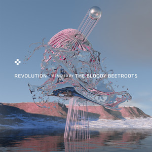 Revolution (The Bloody Beetroots 
