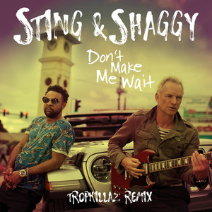 Don't Make Me Wait (with Shaggy) 