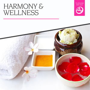 Harmony & Wellness