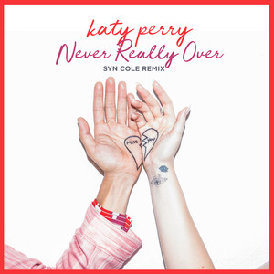 Never Really Over (Syn Cole Remix