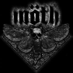 Moth