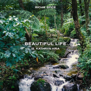 Beautiful Life (feat. Kathryn Ari