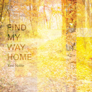 Find My Way Home