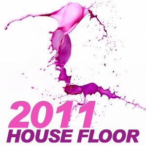 2011 House Floor