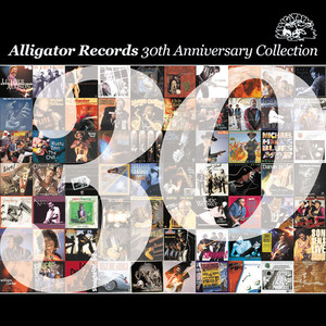 The Alligator Records 30th Annive