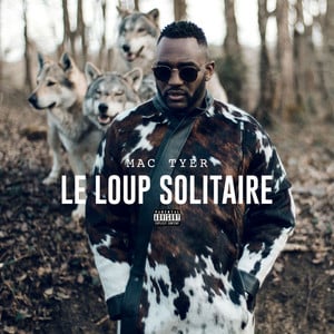 Le loup solitaire