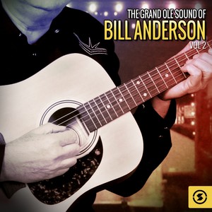 The Grand Ole Sound of Bill Ander