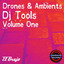 Drones & Ambients, Vol. 1 (DJ Too