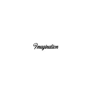 Imagination