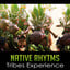 Native Rhytms: Tribes Experience 