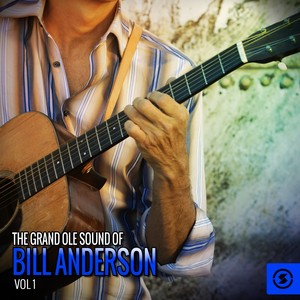 The Grand Ole Sound of Bill Ander