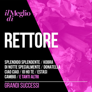 Il Meglio di Rettore - Grandi Suc