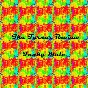 Funky Mule