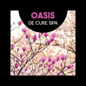 Oasis de cure spa - Sons purs pou