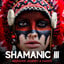 Shamanic 111  Meditation Journey
