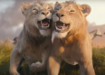 "Mufasa" : une bande-annonce et une date !