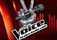 "The Voice" : ces stars ont refusé d'être coachs