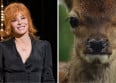 Mylène Farmer dans "Bambi" : la BA dévoilée !