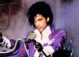 Prince : une comédie musicale "Purple Rain"