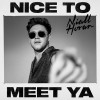 Niall Horan Nice To Meet Y